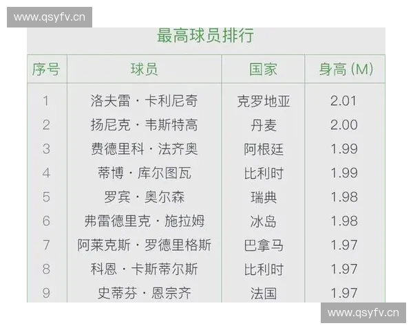 冰岛在世界杯历史中的排名表现与突破分析 冰岛在世界杯历史中的排名表现与突破分析